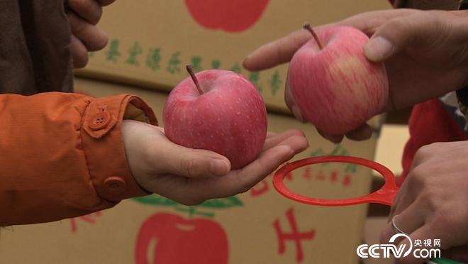 &ldquo;�ҹ���&rdquo;׃����ɽ ���h���p��ٍ�X 