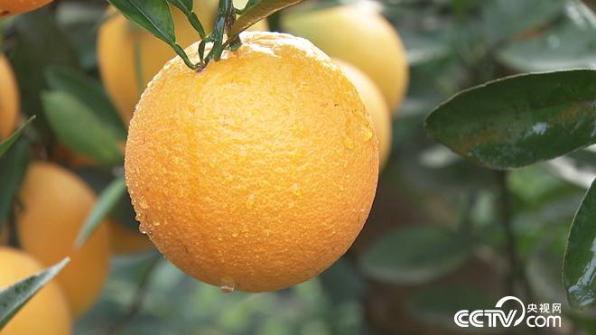 [�¸���(j��ng)]��������SС�t�uĚ��һ���ٍ3600�f(w��n)������