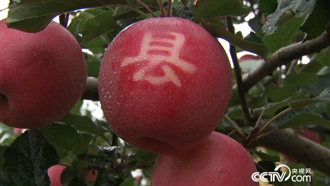 &ldquo;�ҹ���&rdquo;׃����ɽ ���h���p��ٍ�X 