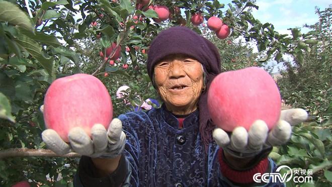 &ldquo;�ҹ���&rdquo;׃����ɽ ���h���p��ٍ�X 