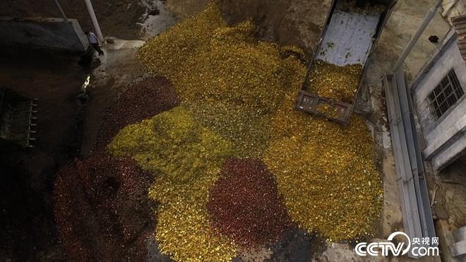 �¸���(j��ng)