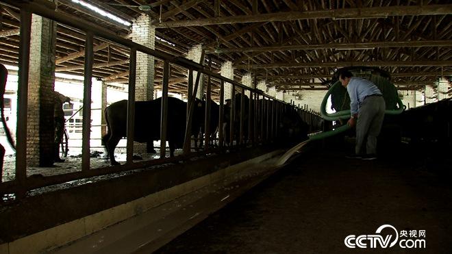 �¸���(j��ng)