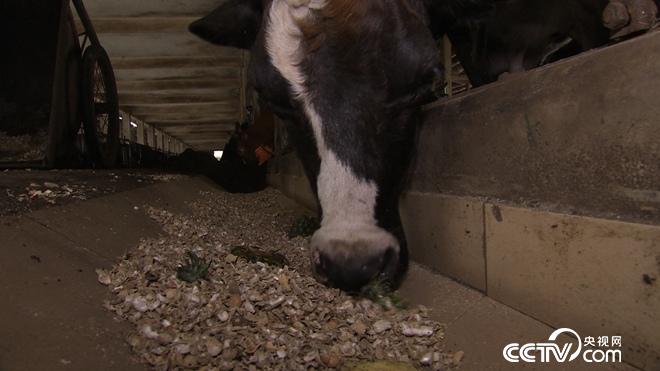 �¸���(j��ng)