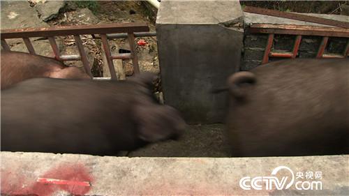 [�¸���(j��ng)]�B�r7��� �����µ� ���sٍ���X 20180820 