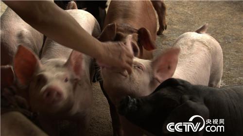 [�¸���(j��ng)]�B�r7��� �����µ� ���sٍ���X 20180820 