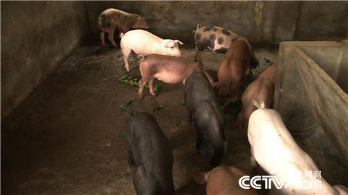 [�¸���(j��ng)]�B�r7��� �����µ� ���sٍ���X 20180820 