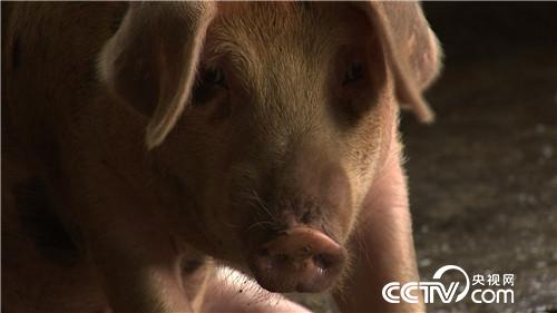 [�¸���(j��ng)]�B�r7��� �����µ� ���sٍ���X 20180820 