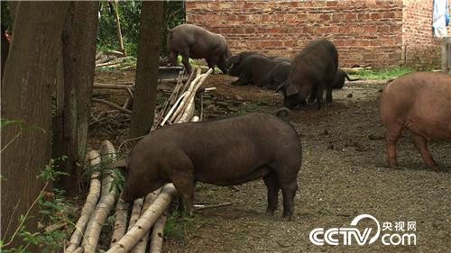 [�¸���(j��ng)]�B�r7��� �����µ� ���sٍ���X 20180820 