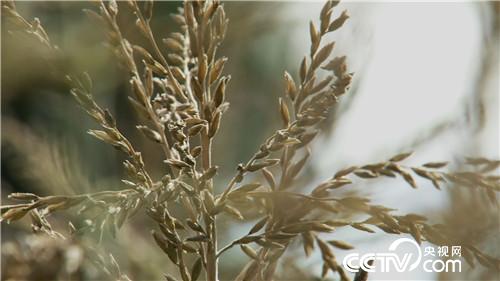 [�¸���(j��ng)]�������������u �U���u��һ�|�� 20180830 