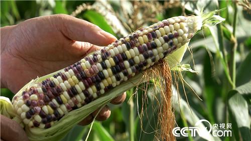 [�¸���(j��ng)]�������������u �U���u��һ�|�� 20180830 