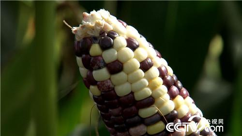 [�¸���(j��ng)]�������������u �U���u��һ�|�� 20180830 