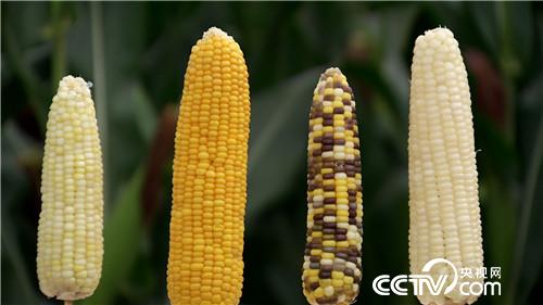 [�¸���(j��ng)]�������������u �U���u��һ�|�� 20180830 