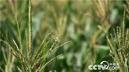 [�¸���(j��ng)]�������������u �U���u��һ�|�� 20180830 