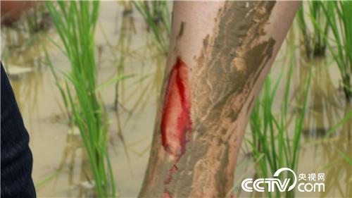 [¸(jng)]H(xi)һ(g) ТӷN|f(wn)ؔ(ci) 20180919 