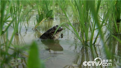 [¸(jng)]H(xi)һ(g) ТӷN|f(wn)ؔ(ci) 20180919 
