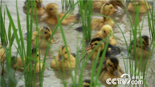 [¸(jng)]H(xi)һ(g) ТӷN|f(wn)ؔ(ci) 20180919 