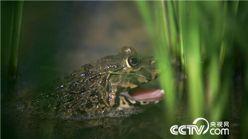 [¸(jng)]H(xi)һ(g) ТӷN|f(wn)ؔ(ci) 20180919 