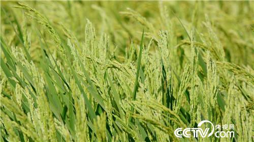 [¸(jng)]H(xi)һ(g) ТӷN|f(wn)ؔ(ci) 20180919 