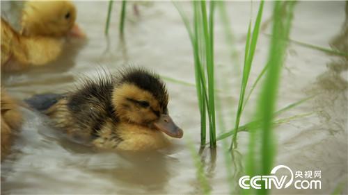 [¸(jng)]H(xi)һ(g) ТӷN|f(wn)ؔ(ci) 20180919 