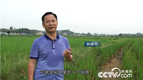 [¸(jng)]H(xi)һ(g) ТӷN|f(wn)ؔ(ci) 20180919 