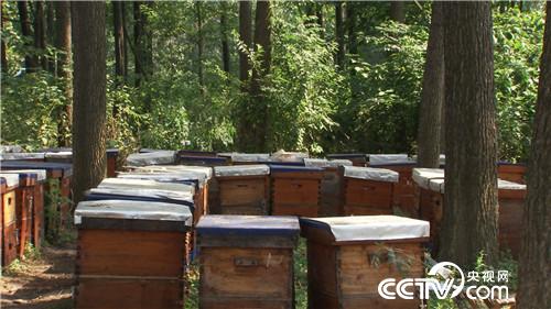 [¸(jng)]׌ؔ(ci)Լ@M(jn)ƿ 20181030 