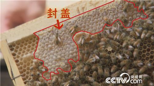 [¸(jng)]׌ؔ(ci)Լ@M(jn)ƿ 20181030 