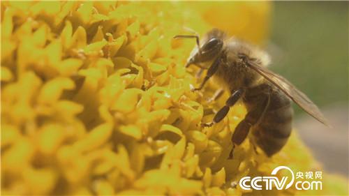 [¸(jng)]׌ؔ(ci)Լ@M(jn)ƿ 20181030 