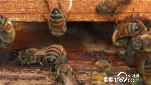 [¸(jng)]׌ؔ(ci)Լ@M(jn)ƿ 20181030 