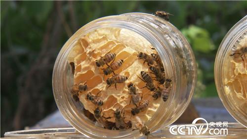 [¸(jng)]׌ؔ(ci)Լ@M(jn)ƿ 20181030 