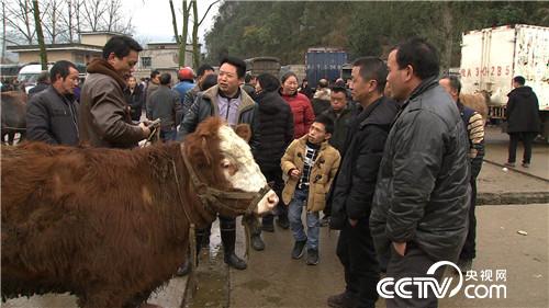 [�¸���(j��ng)]С��(g��)�Ӵ��ǻ� ������A��ؔ(c��i)���c���� 20190430 